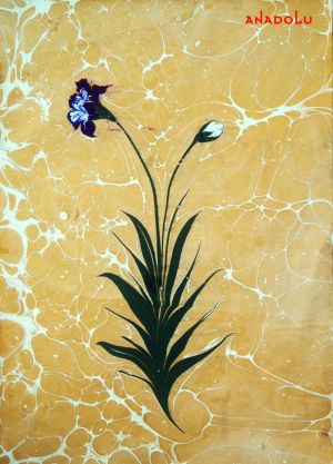 Ebru Sanatında Çalışmalar Balıkesir