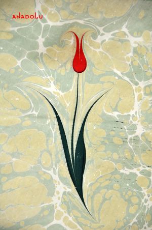 Özel Ebru Eğitimleri Balıkesir