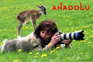 Balıkesir Doğa Fotoğrafı Çekimleri